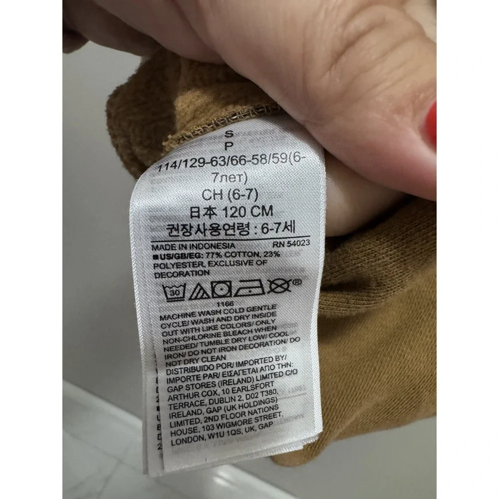 Gap Kids Disney‎ Mickey Brown Maple Brown Sugar Pullover Hoodie Size Small